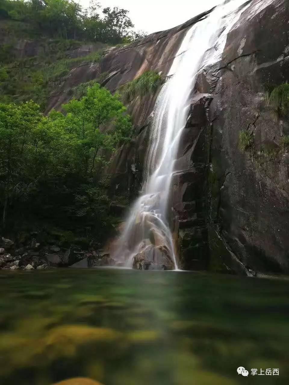 蓝狐视频