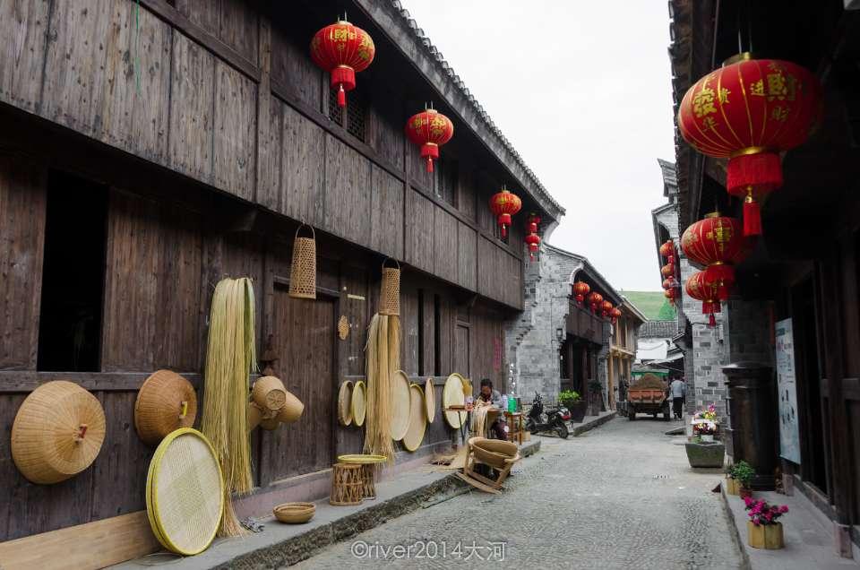 动物帮帮忙保卫家园